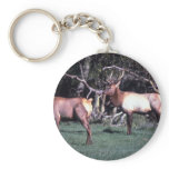 Roosevelt Elk Key Chains
