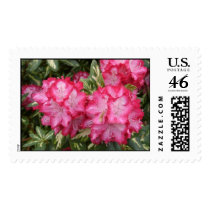Roosevelt Rhododendron's postage