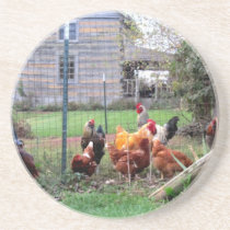 Rooster and Chickens Coaster