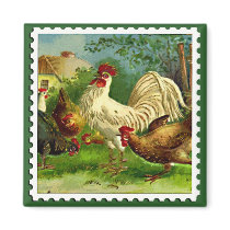 Rooster and hens magnet