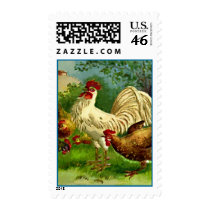 Rooster and hens postage
