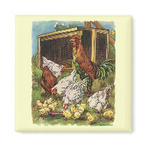 Rooster and Hens with Baby Chickens on the Farm Magnets