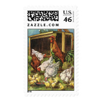 Rooster and Hens with Baby Chickens on the Farm Postage