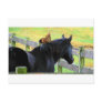 Rooster And Mare Postcards