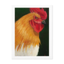 ROOSTER: ARTWORK: REALISM postcards