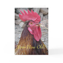Rooster Birthday Card