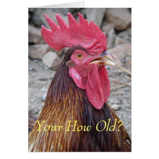 Rooster Birthday Card | Zazzle