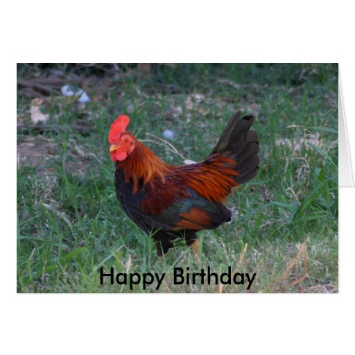 Rooster Birthday Card | Zazzle