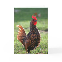 Rooster, Blank Note Card