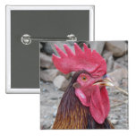 Rooster Button