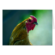 Rooster Card