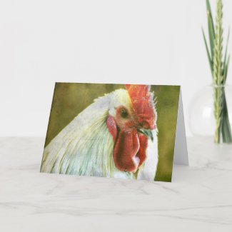 Rooster card