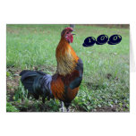 Rooster Crowing Funny 100th Birthday Card