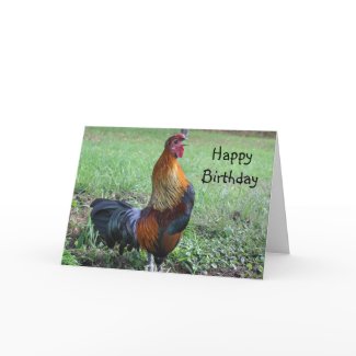 Rooster Crowing Nature Birthday Greeting Card card