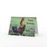 Rooster Crowing Nature Birthday Greeting Card