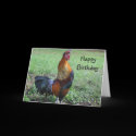 Rooster Crowing Nature Birthday Greeting Card