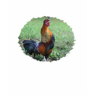 Rooster Crowing Nature Photo Cotton T-Shirt shirt