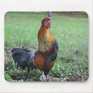 Rooster Crowing Nature Photo Mousepad mousepad