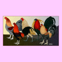 Rooster Dream Team posters