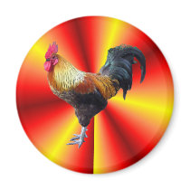 Rooster flash magnets