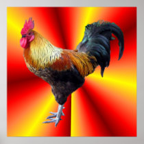 Rooster flash print
