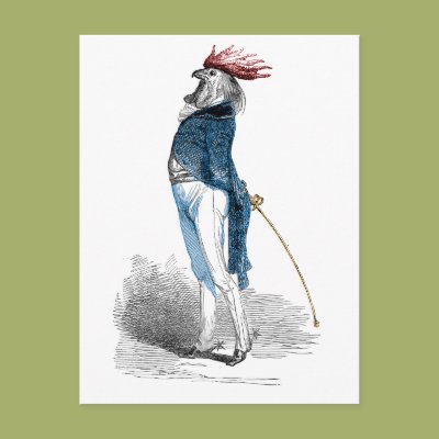 Rooster Gentleman Postcards Zazzle_postcard Rooster Gentleman Postcards Zazzle_postcard
