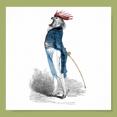 Rooster Gentleman Posters Zazzle_print Rooster Gentleman Posters Zazzle_print