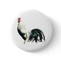 Rooster Global Brass Olin Fineweld Tube buttons