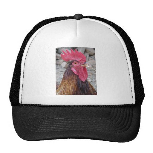 Rooster Hat Zazzle