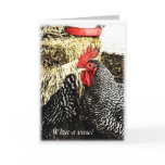 Rooster + Hen Tail, Funny Greeting Card