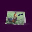 Rooster Humorous 30th Birthday Greeting Card