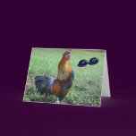 Rooster Humorous 30th Birthday Greeting Card