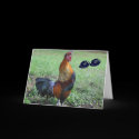 Rooster Humorous 30th Birthday Greeting Card