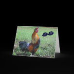 Rooster Humorous 30th Birthday Greeting Card