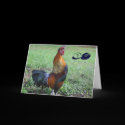 Rooster Humorous 50th Birthday Greeting Card