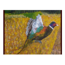 Rooster In The Field Post Cards