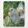 Rooster in the Hay Meadow Mousepads