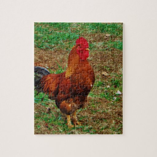 Rooster Jigsaw Puzzle Zazzle
