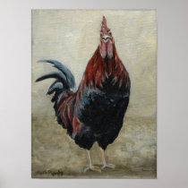 Rooster Look Bird Art Print