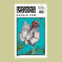 rooster looks for road stamps