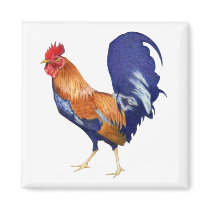 Rooster Magnet