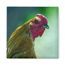 Rooster Refrigerator Magnet