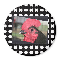 Rooster magnets