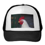 rooster mesh hats