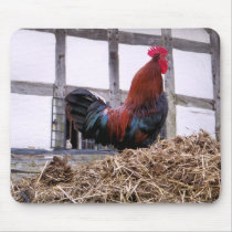 ROOSTER MOUSE PADS