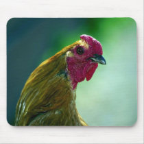Rooster Mousepads