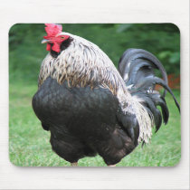 Rooster Mousepad