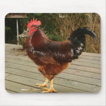 Rooster mousepads