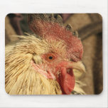 Rooster Mouse Pad