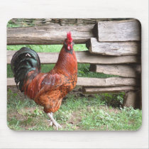 ROOSTER mousepads by FotoShop ROOSTER mousepads